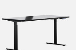 Maidesite EL2 Pro Art - Electric Stand Up Desk Frame