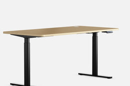 Maidesite EL2 Pro Art - Electric Stand Up Desk Frame