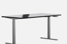 Maidesite EL2 Pro Art - Electric Stand Up Desk Frame