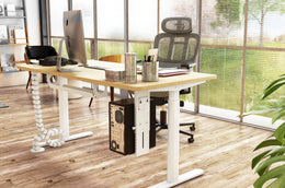 Maidesite EL2 Pro Art - Electric Stand Up Desk Frame