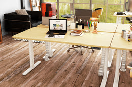 Maidesite EL2 Pro Art - Electric Stand Up Desk Frame