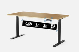 Maidesite EL2 Pro Art - Electric Stand Up Desk Frame