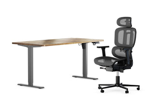 Standing Desk &  Ergonomic Chair